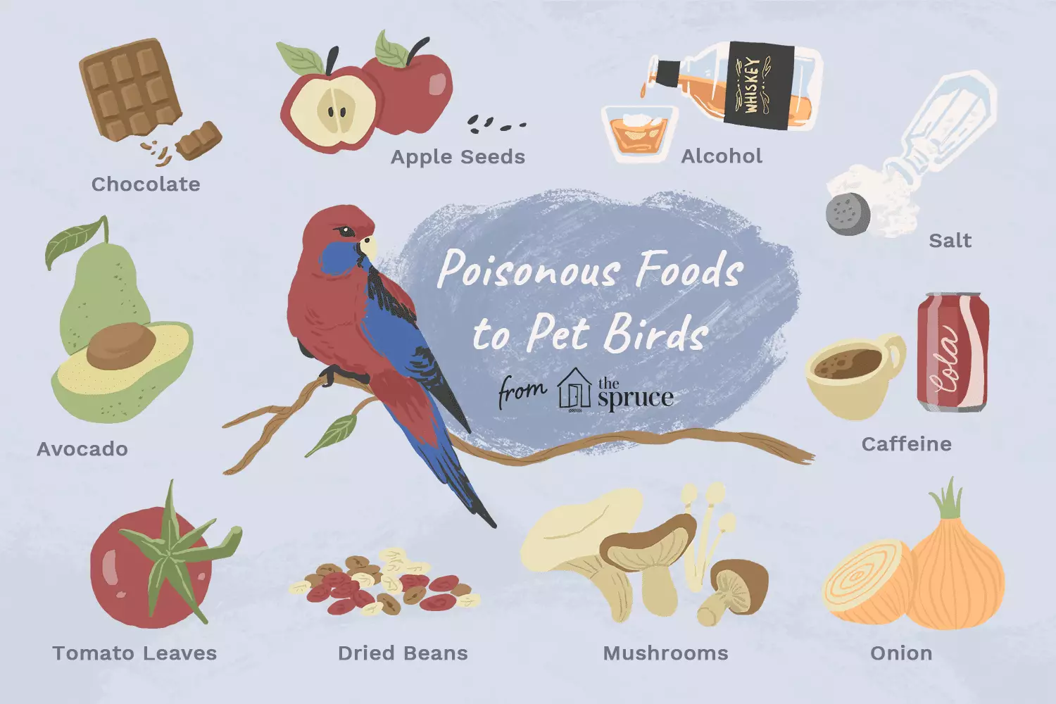 Essential Foods for Your Feathered Friends: A Guide to Keeping Birds Safe