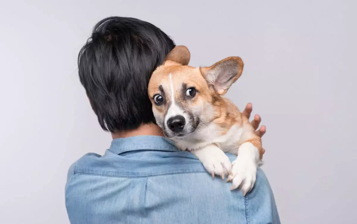 The Science Behind Dogs Detecting Fear: An Exploration of Canine Sensitivity