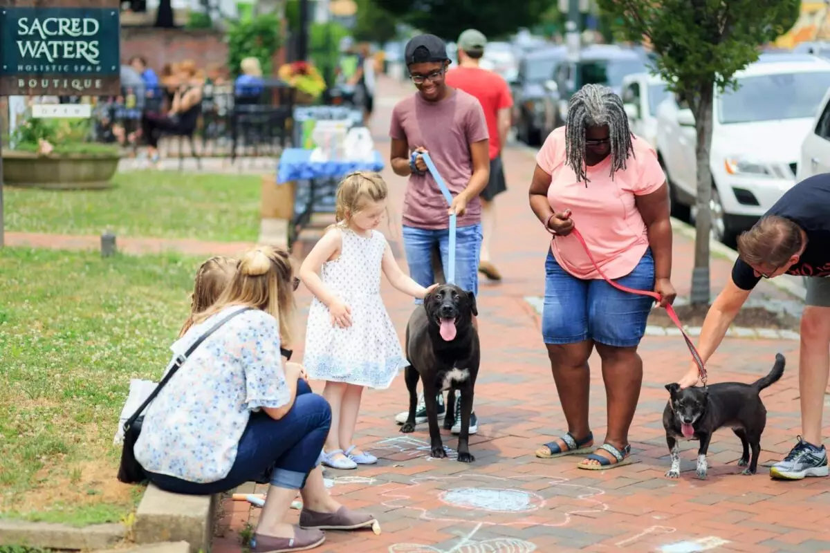 The Art of Introducing Your Dog to New Friends: Strategies for Success