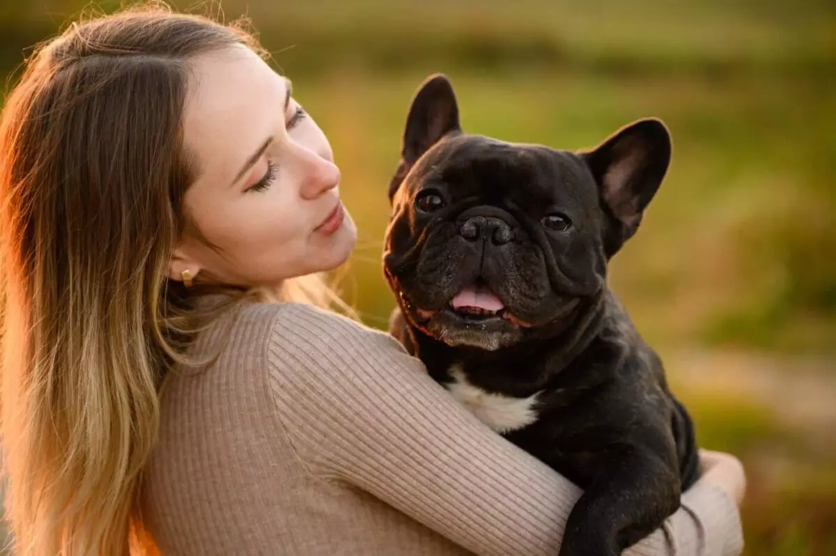 Choosing Your Perfect Cuddle Companion: A Guide to Affectionate Dog Breeds