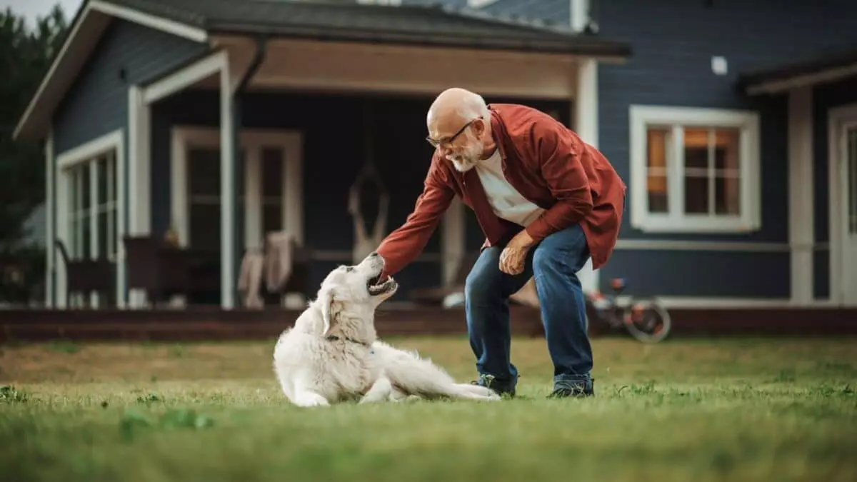 The Perfect Pooch: Essential Dog Breeds for Baby Boomers