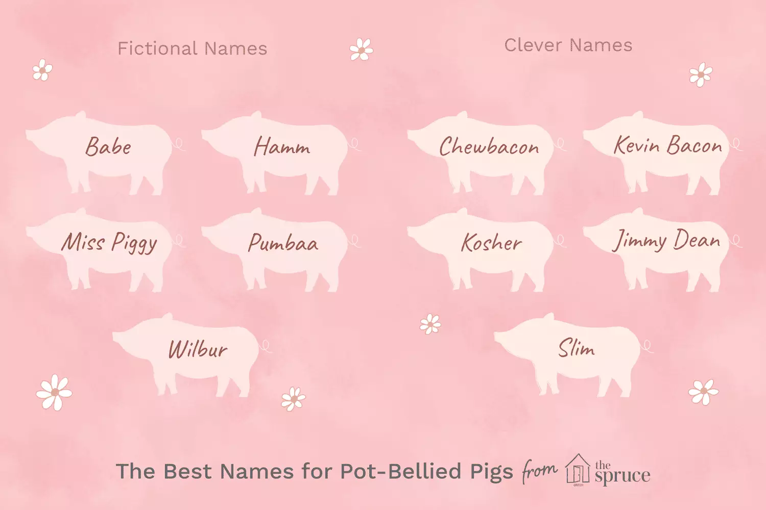 The Joy of Naming Your Pot-Bellied Pig: A Guide to Choosing the Perfect Name