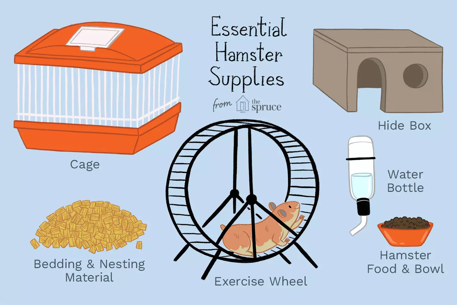 Understanding Hamster Care: Essential Guide for Happy and Healthy Pets