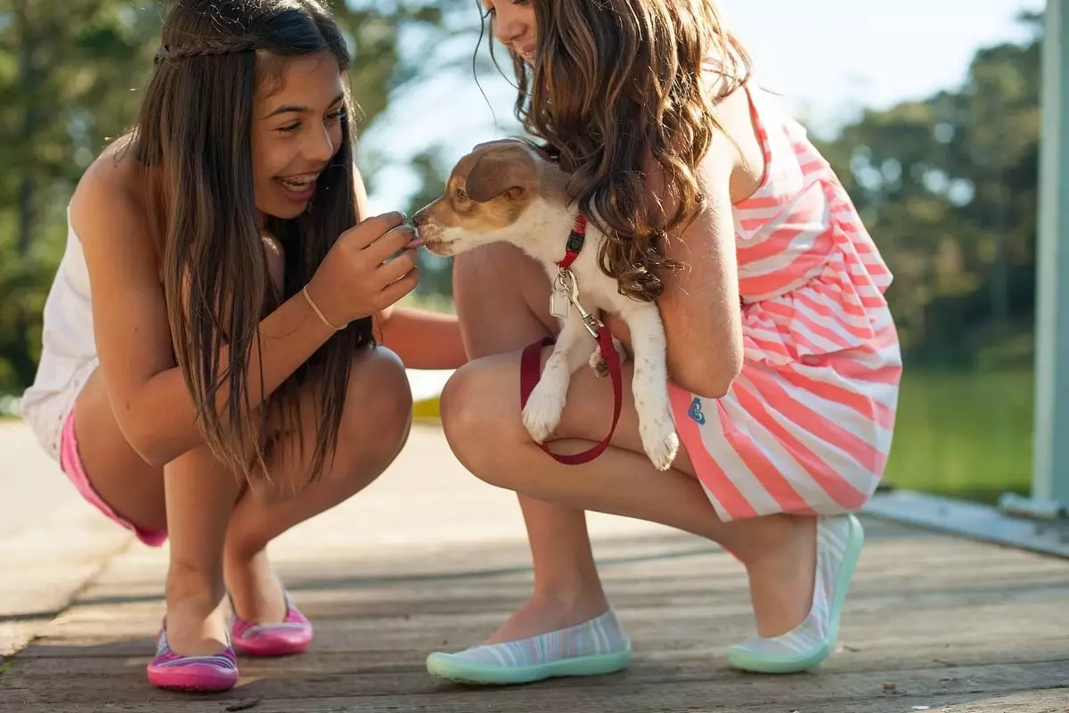 Choosing the Perfect Family Dog: A Guide to Family-Friendly Breeds