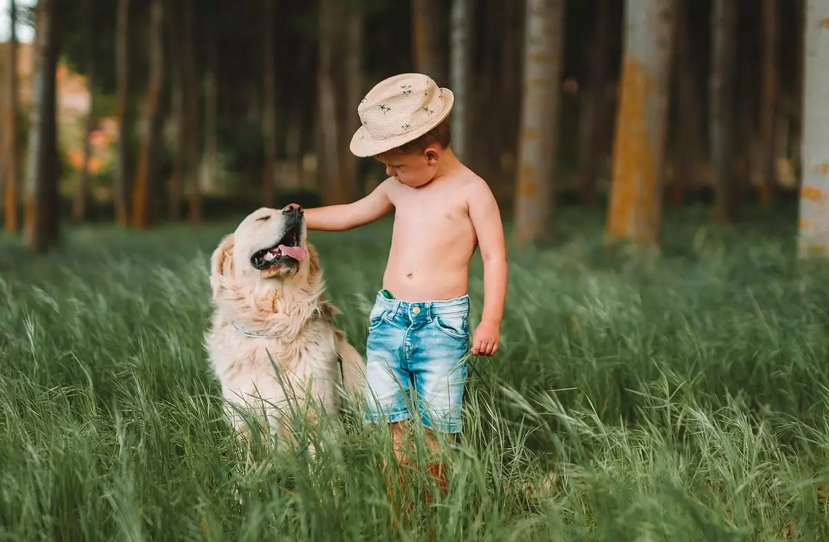 Top Dog Breeds That Naturally Connect with Children