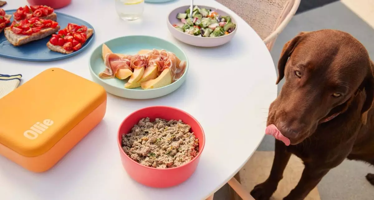 Nourishing Your Dog with Ollie’s Exceptional Meals