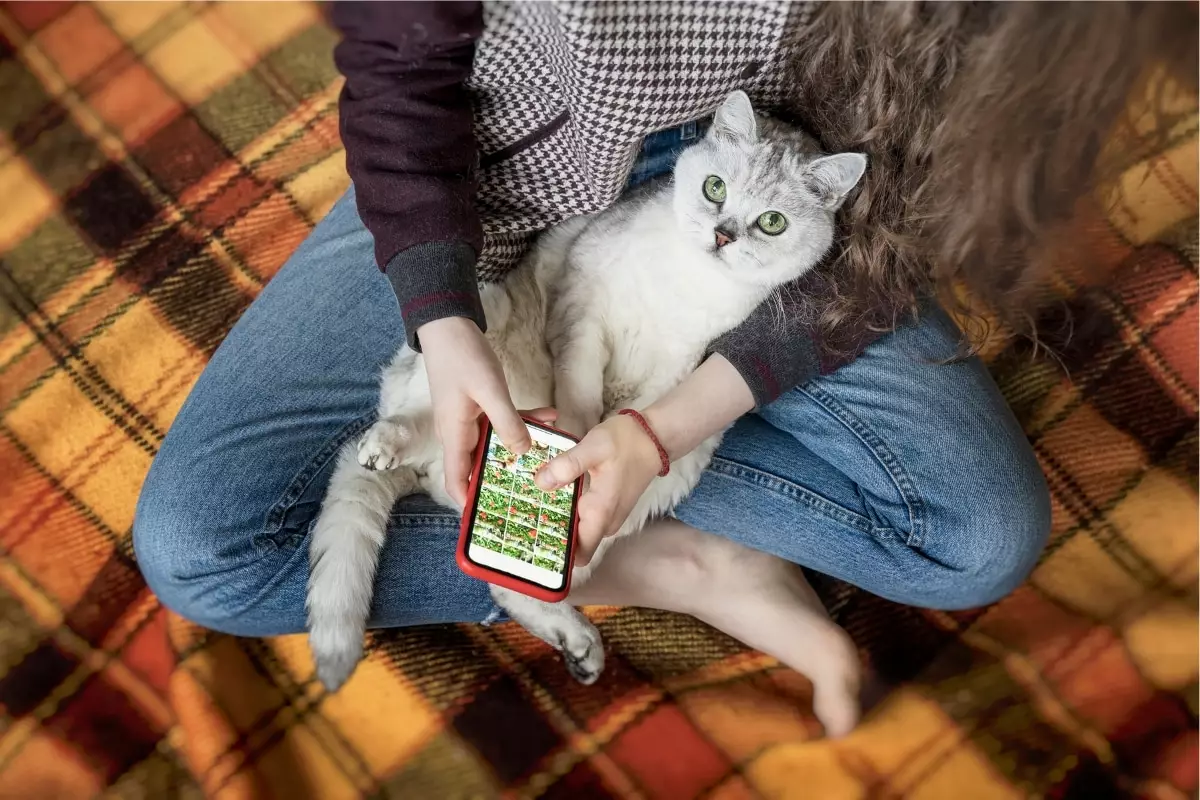 Understanding Your Cat’s Reaction to Smartphone Attention