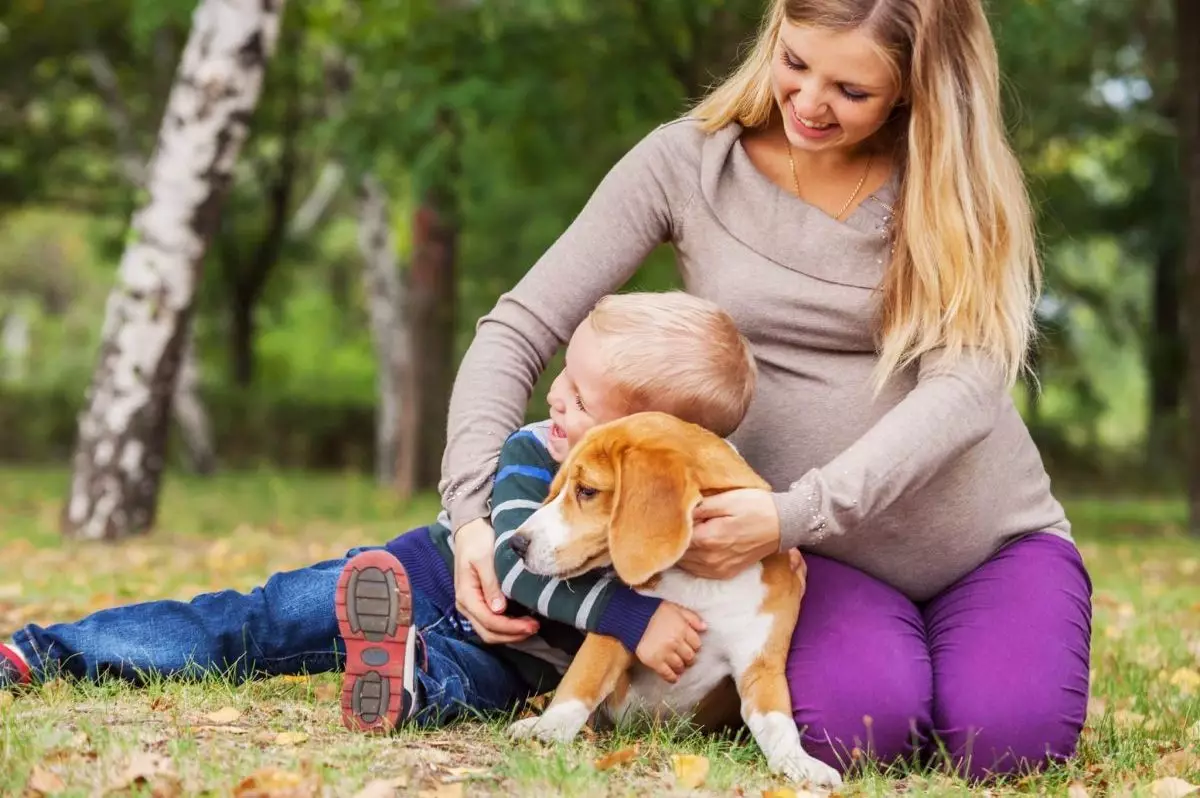 The Invaluable Bond: How Dogs Enrich Family Life