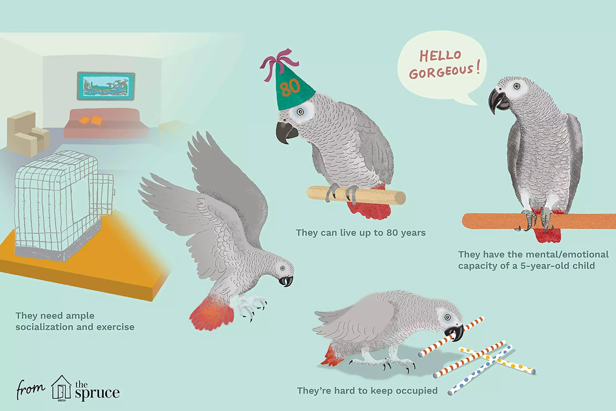 Understanding African Grey Parrots: A Deep Dive into Their Unique Characteristics and Care Requirements