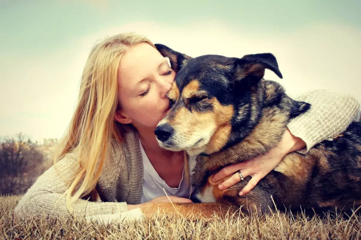 The Silent Teachers: Life Lessons from Our Canine Companions