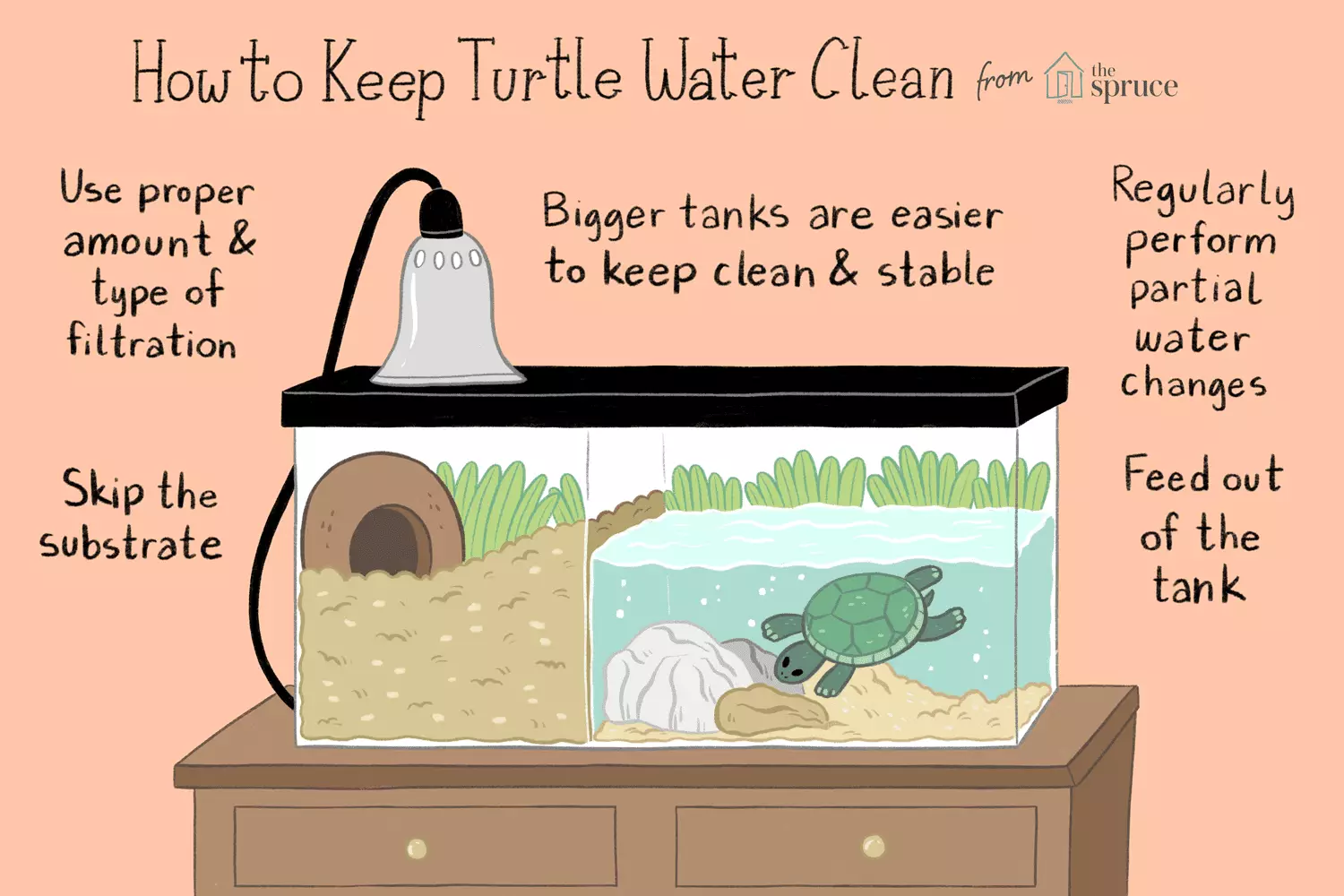 The Essential Guide to Maintaining Water Quality for Aquatic Turtles