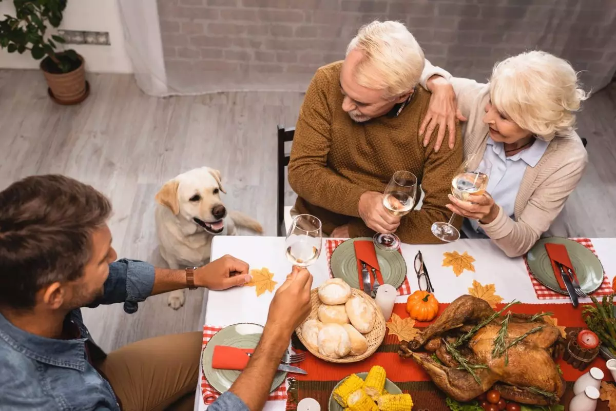 Nourishing Fido: Safe Holiday Foods for Your Dog