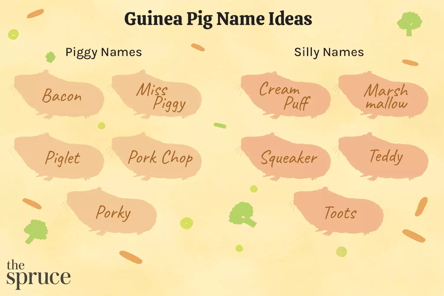 Choosing the Perfect Name for Your Playful Guinea Pig