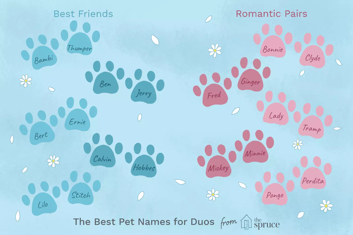 Choosing the Perfect Names for Paired Pets: A Creative Guide