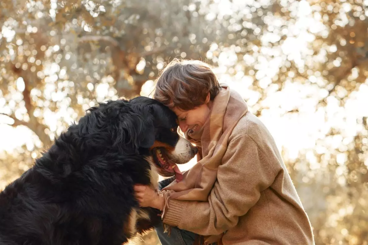 The Unconditional Love of Dogs: Life Lessons from Our Furry Companions