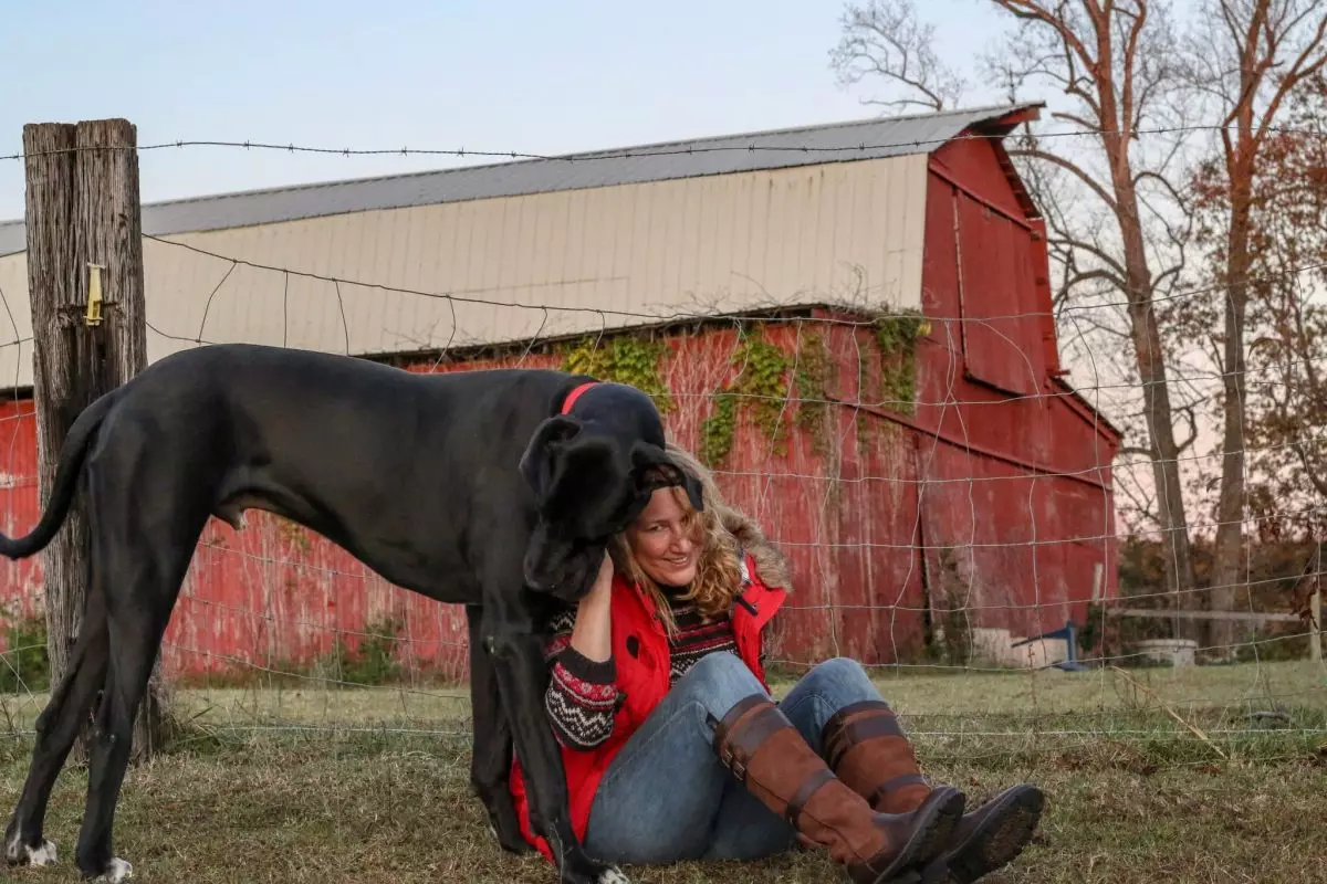 The Unbreakable Bond: Celebrating the Loving Nature of Dogs