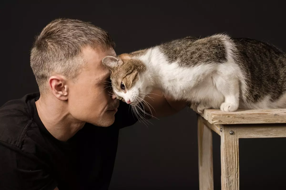 The Secret Language of Cats: Understanding Their Trust and Affection