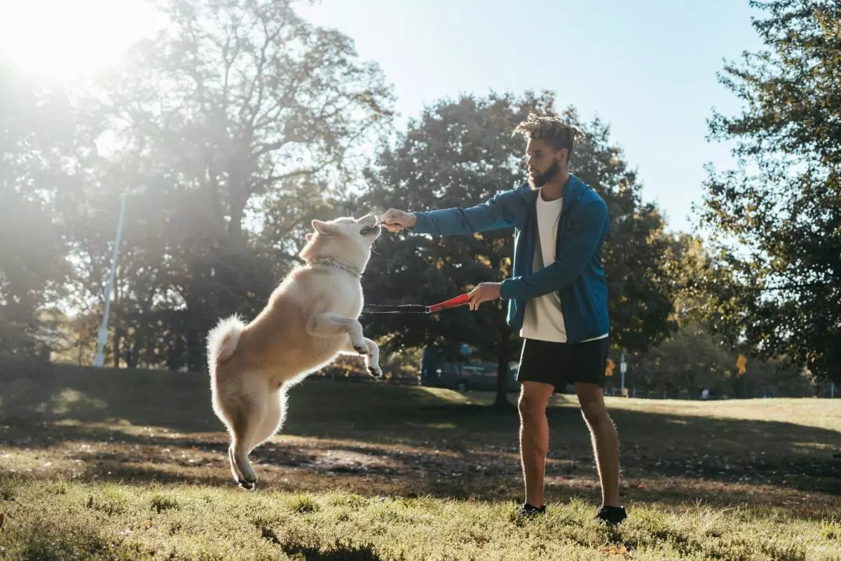 Lessons from Our Four-Legged Friends: Embracing the Present with Dogs