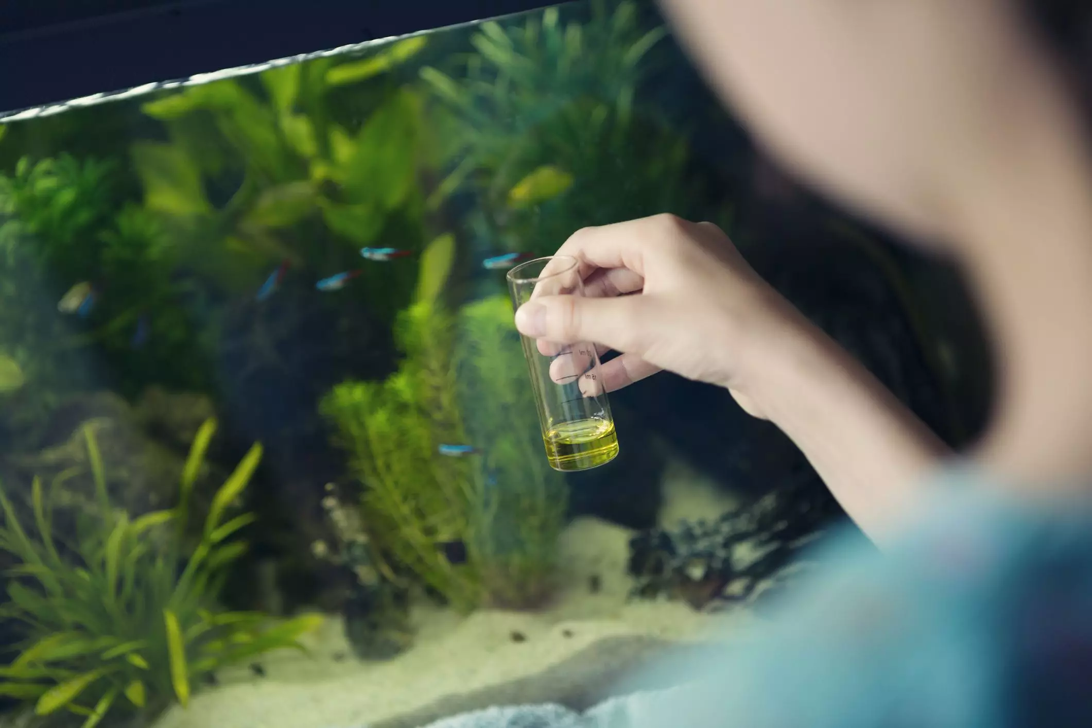 The Importance of Water Quality Management in Aquariums