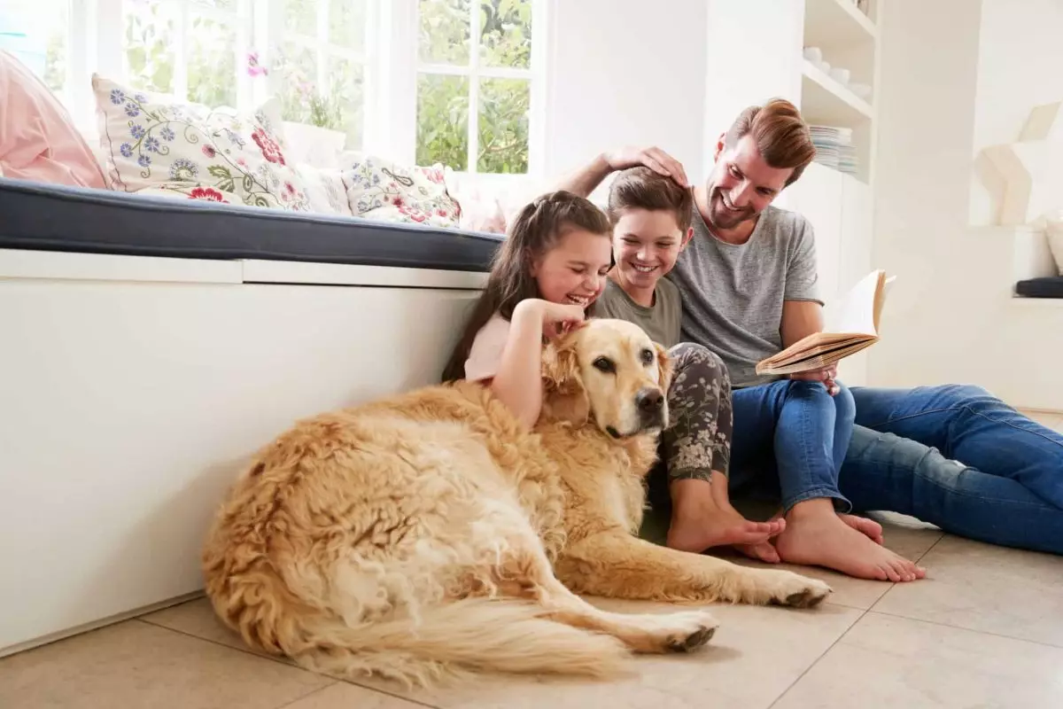 Adding Love and Joy to Your Home: The Best Dog Breeds for Affectionate Families