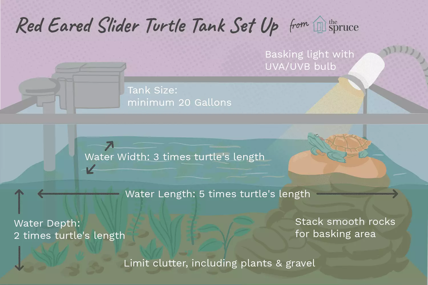 The Essentials of Caring for Red-Eared Slider Turtles: A Complete Guide