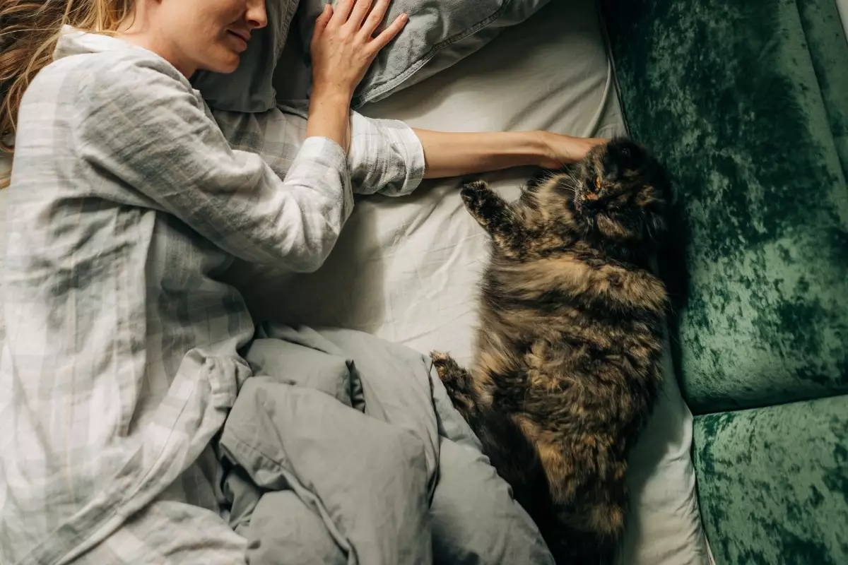 The Hidden Devotion of Felines: 11 Signs Your Cat Is Loyal to You