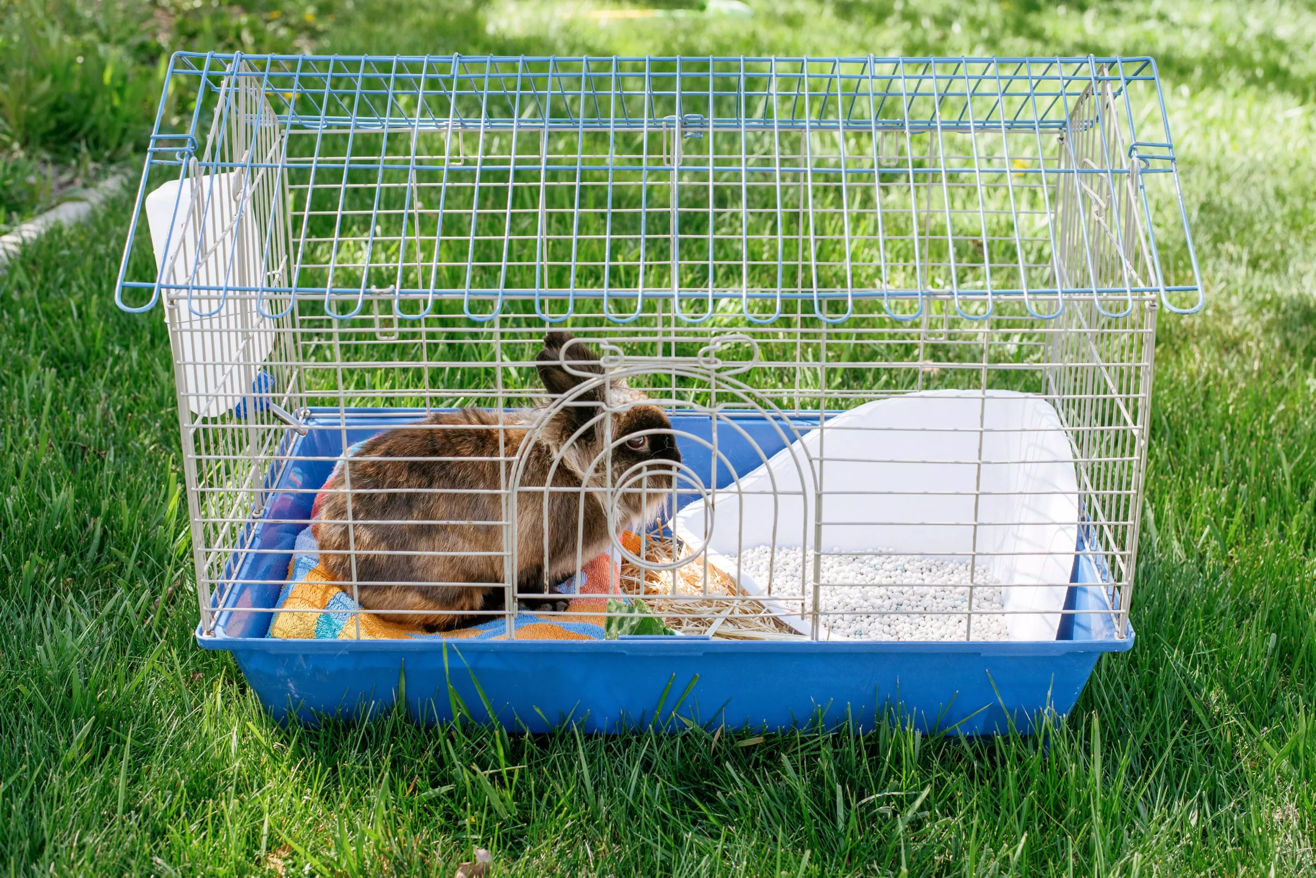 Effortless Freshness: The Ultimate Guide to Rabbit Hutch Cleaning