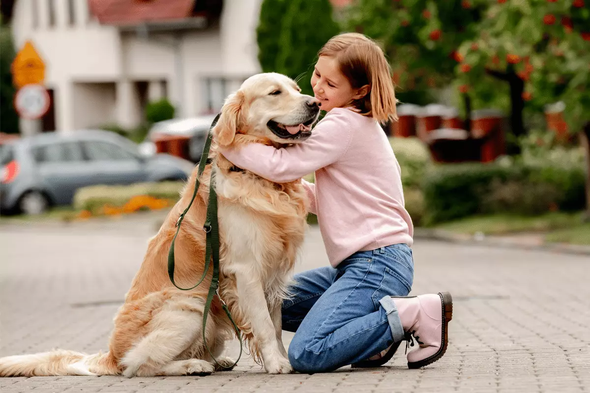 The Most Obedient Dog Breeds: Partners in Training and Companionship