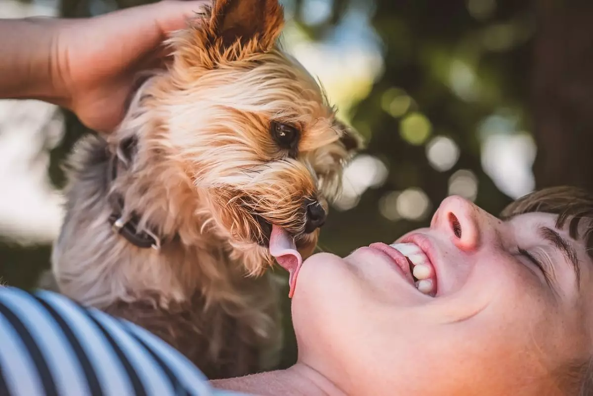 Unbreakable Bonds: The Most Loyal Dog Breeds for Devoted Companionship