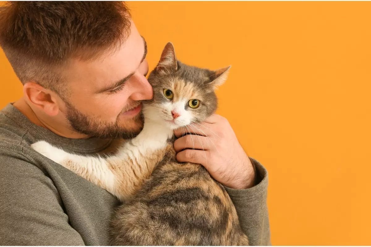 Unleashing the Heartfelt Bond: How Cats Tune into Our Emotions