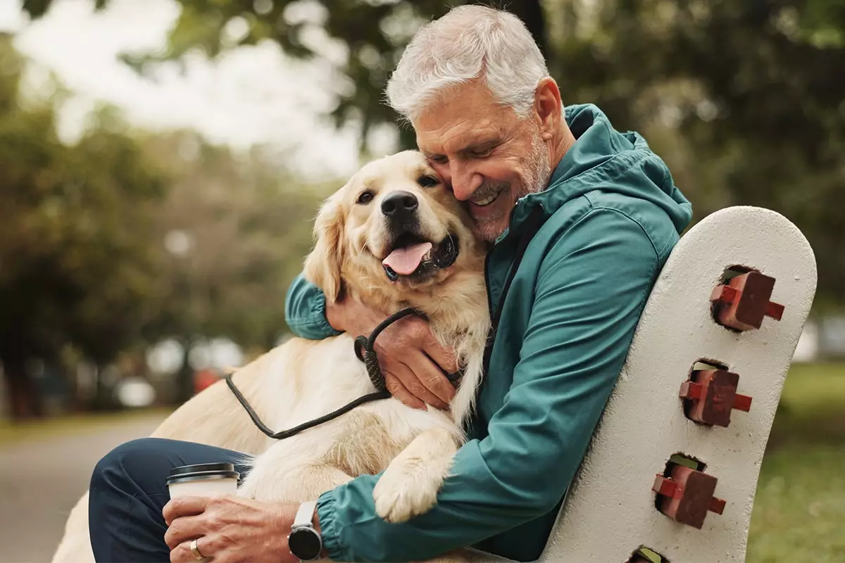 Golden Companions: The Best Dog Breeds for Active Retirees
