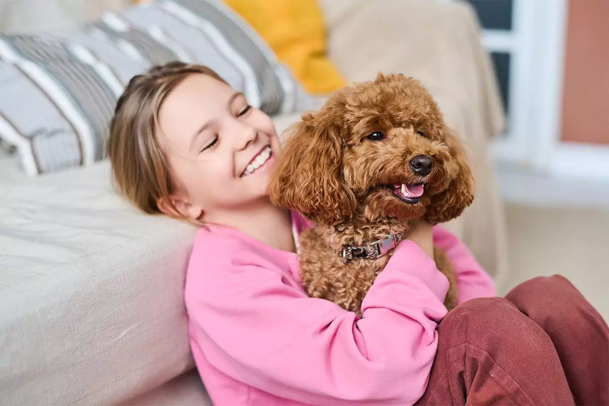 Emotional Companions: The Heartfelt Bond Between Humans and Dogs