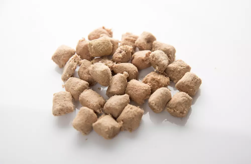 Revolutionizing Pet Nutrition: A Deep Dive into Freeze-Dried vs. Air-Dried Dog Foods