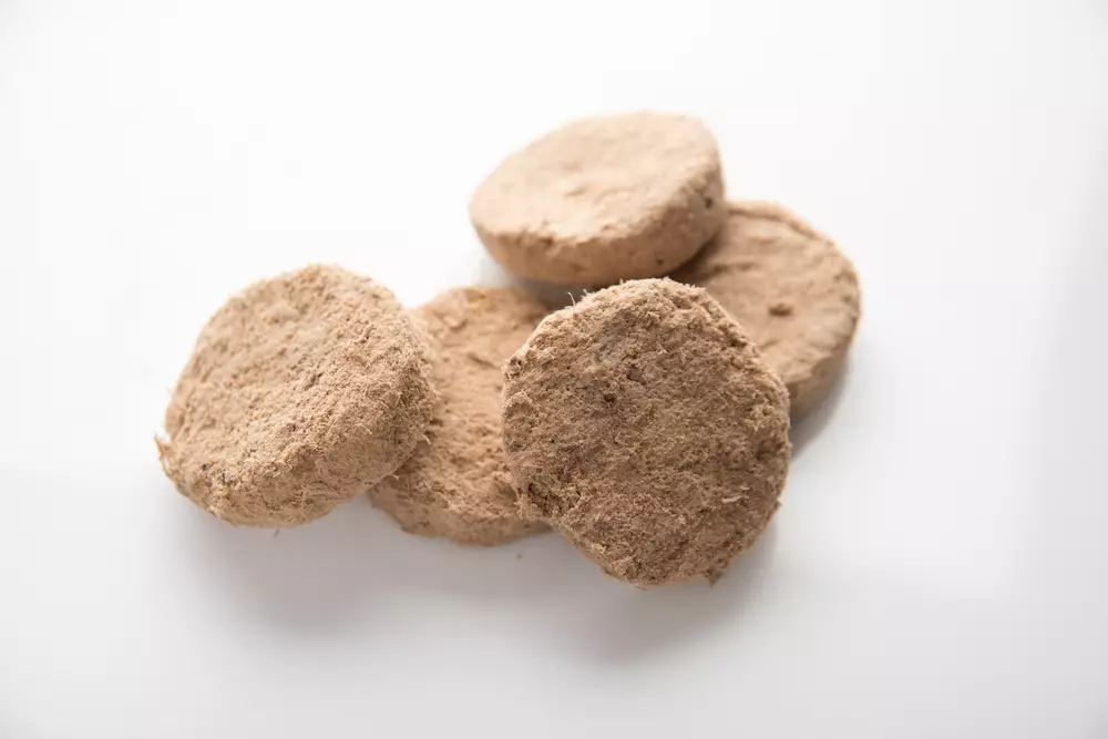 Transform Your Dog’s Health: The Freeze-Dried Revolution