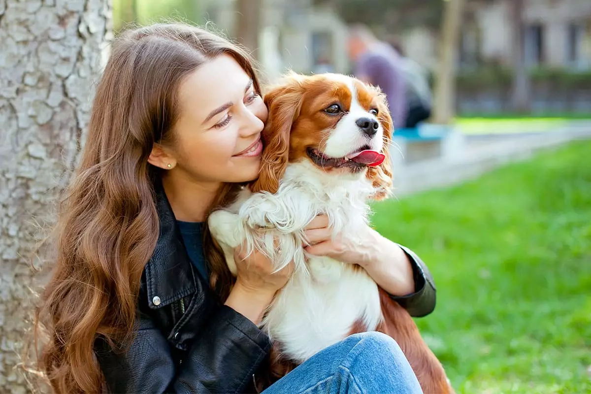 The Affectionate Alliance: Discovering the Breeds That Will Steal Your Heart