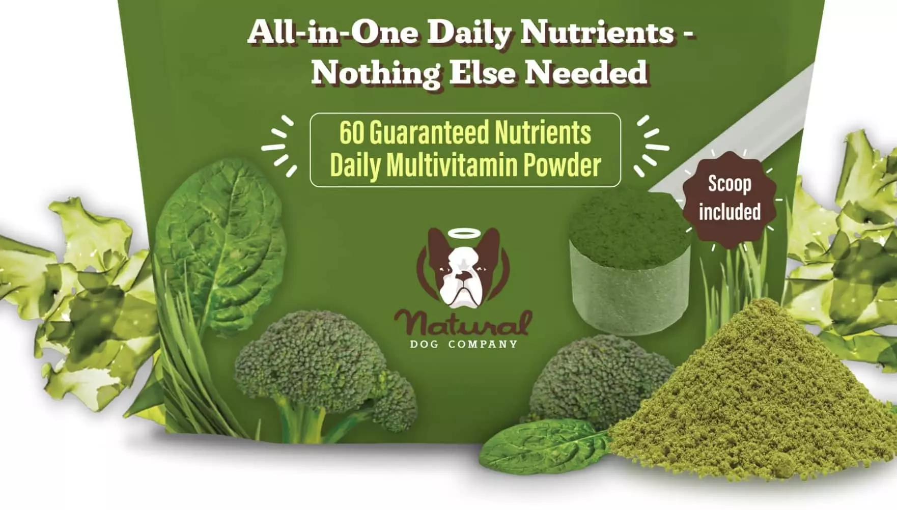 Empowering Your Dog’s Health: The Essential Guide to Canine Nutritional Supplements