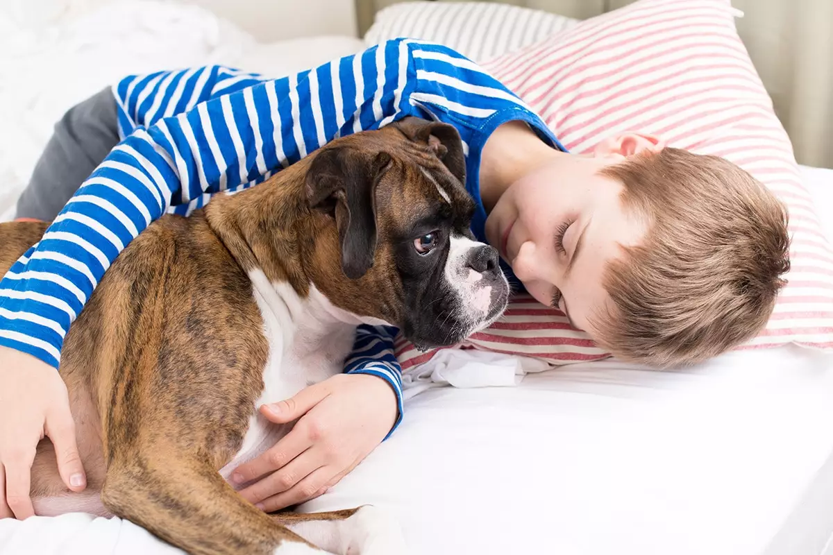 The Unbreakable Bonds: Why Dogs Are the Heartbeat of Our Lives