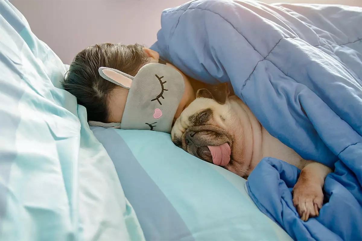The Unbreakable Bond: Why Some Dogs See Your Head as Their Perfect Sanctuary