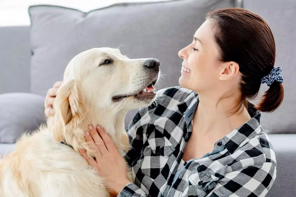 The Unseen Power of Loving Canines: How Dogs Transform Emotional Well-Being