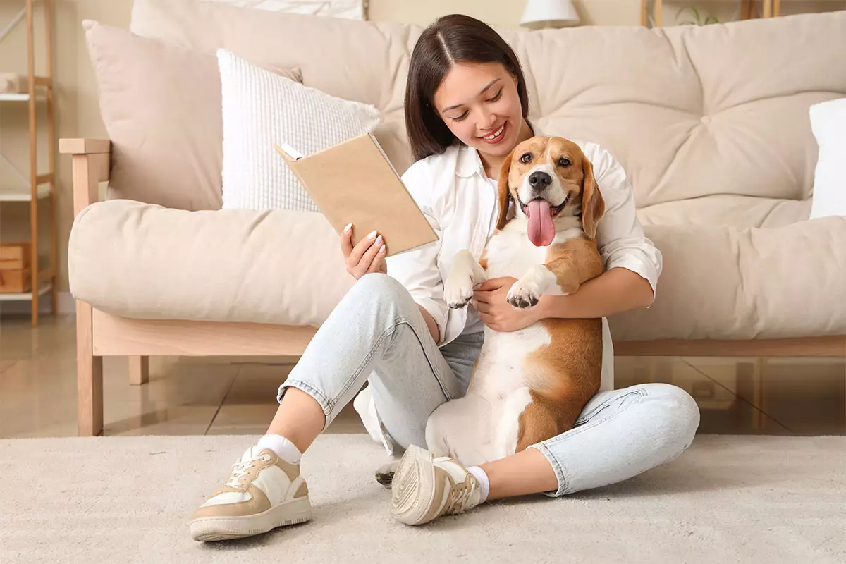 The Unbreakable Bond: Why Truly Loving Dogs Never Want to Leave Your Side